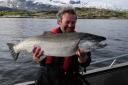 Meine persönliche Rekord-Meerforelle, gefangen im Skjerstadfjord am 1. Juni 2011: 9 kg bei 93 cm!